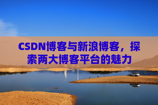 CSDN博客与新浪博客，探索两大博客平台的魅力